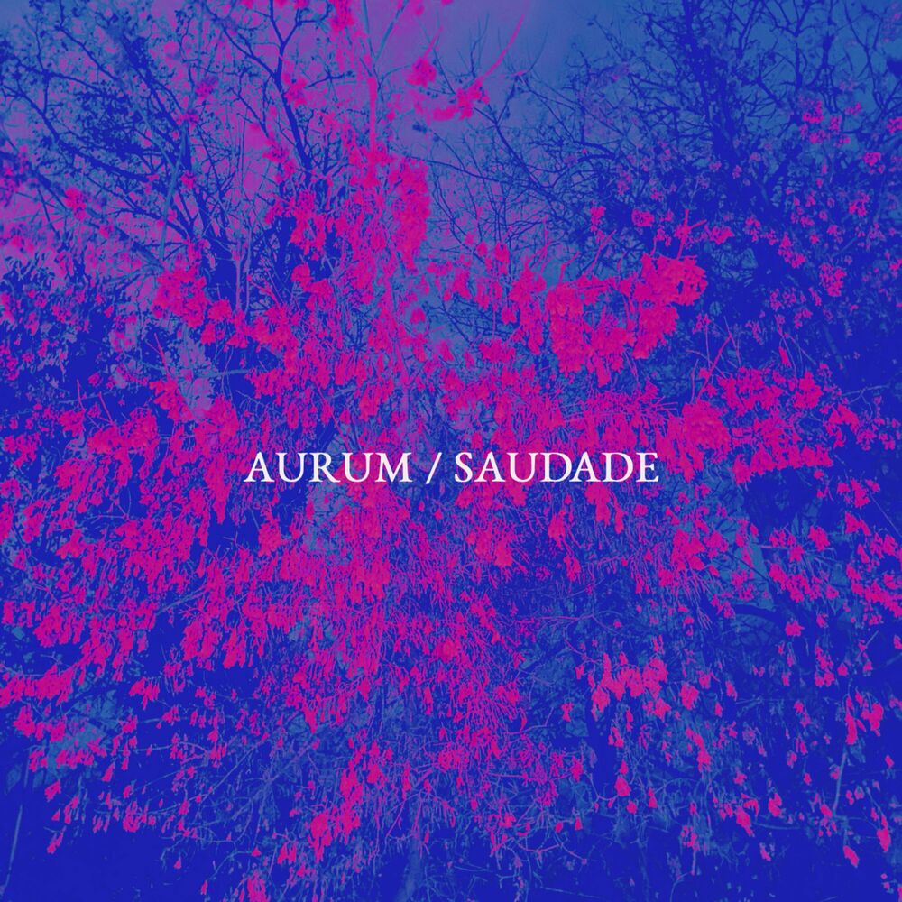 Picture of Saudade