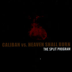 Cover of The Split Program