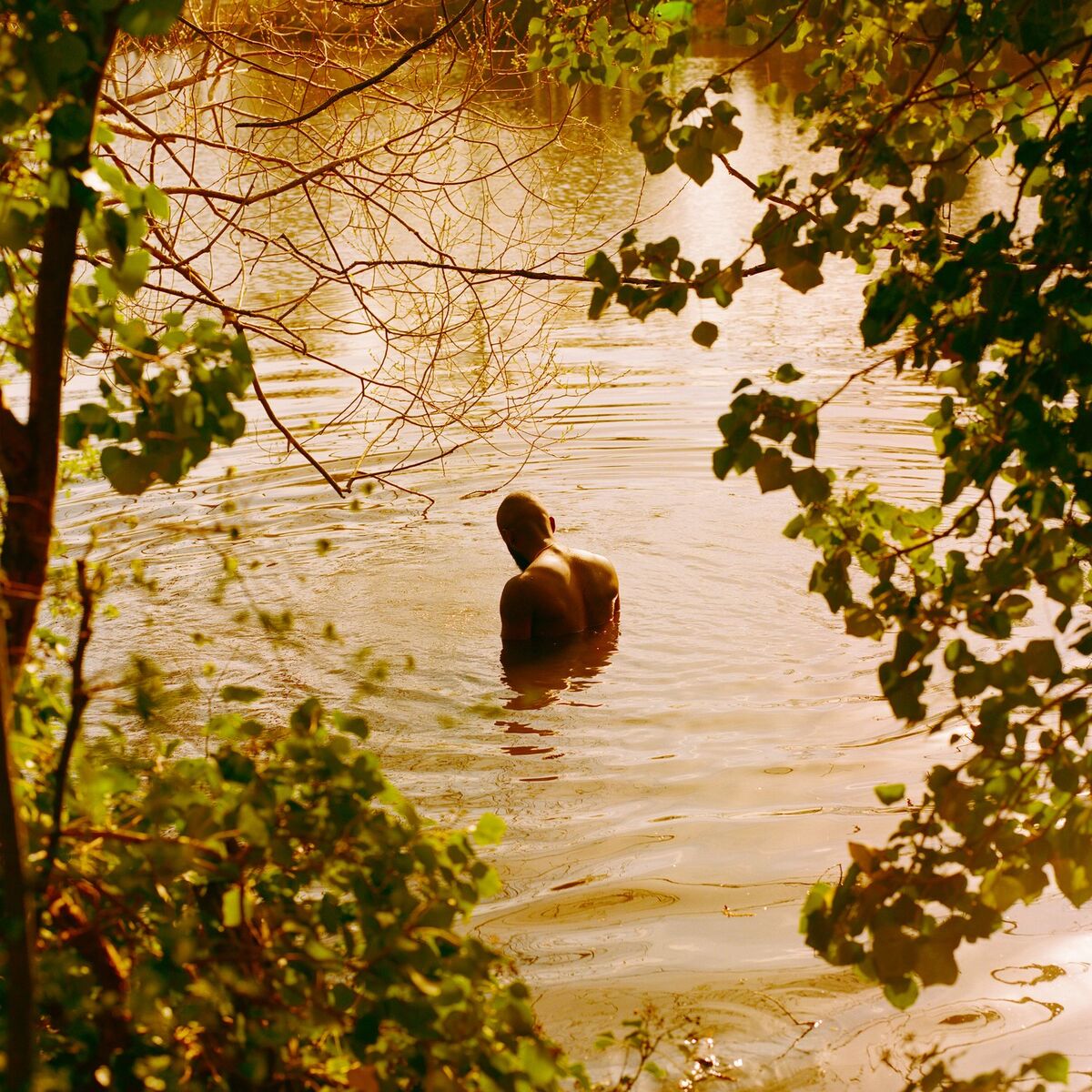 Album cover of Ode
