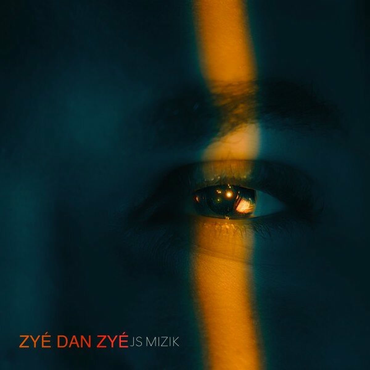 Album cover of Zyé Dan Zyé