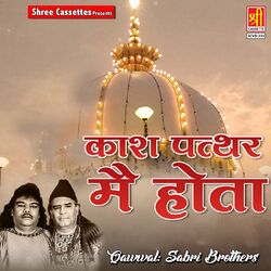 Cover of Kash Patthar Mai Hota