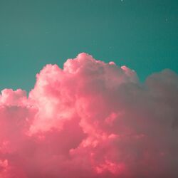Cover of Up High