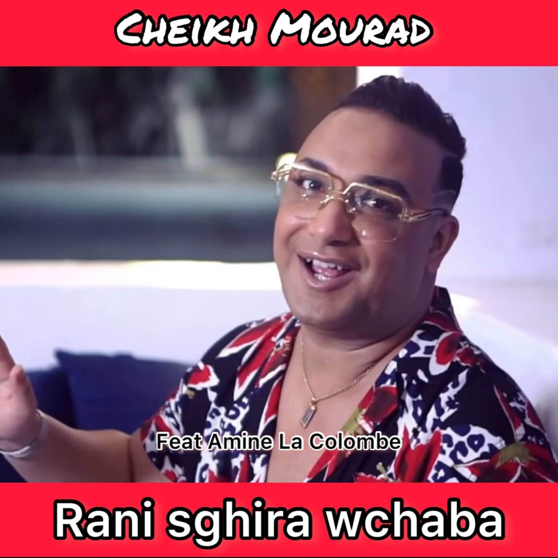 Album cover of Rani Sghira Wchaba