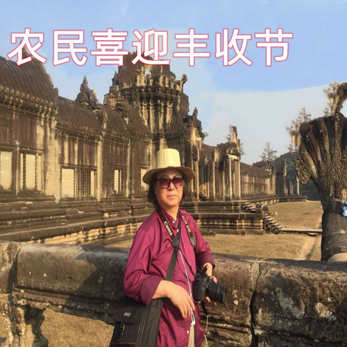 农民喜迎丰收节
