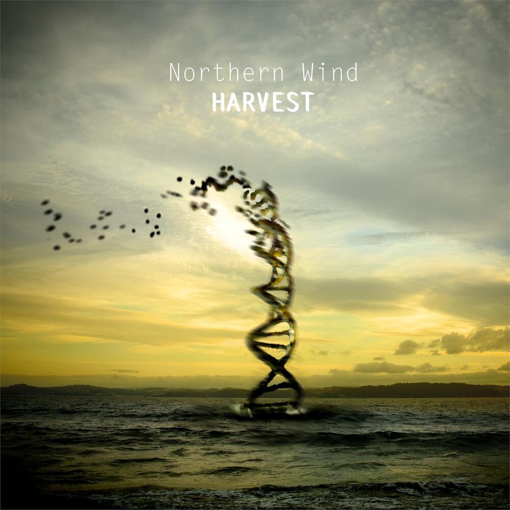 Picture of Northern Wind (2014)