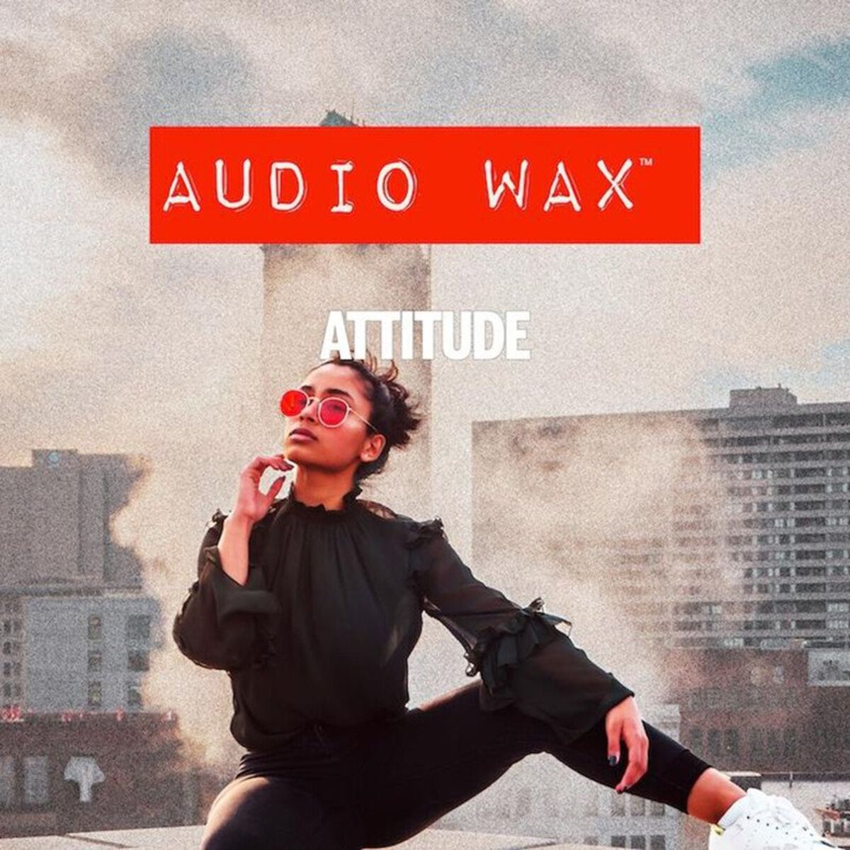 Album cover of Attitude