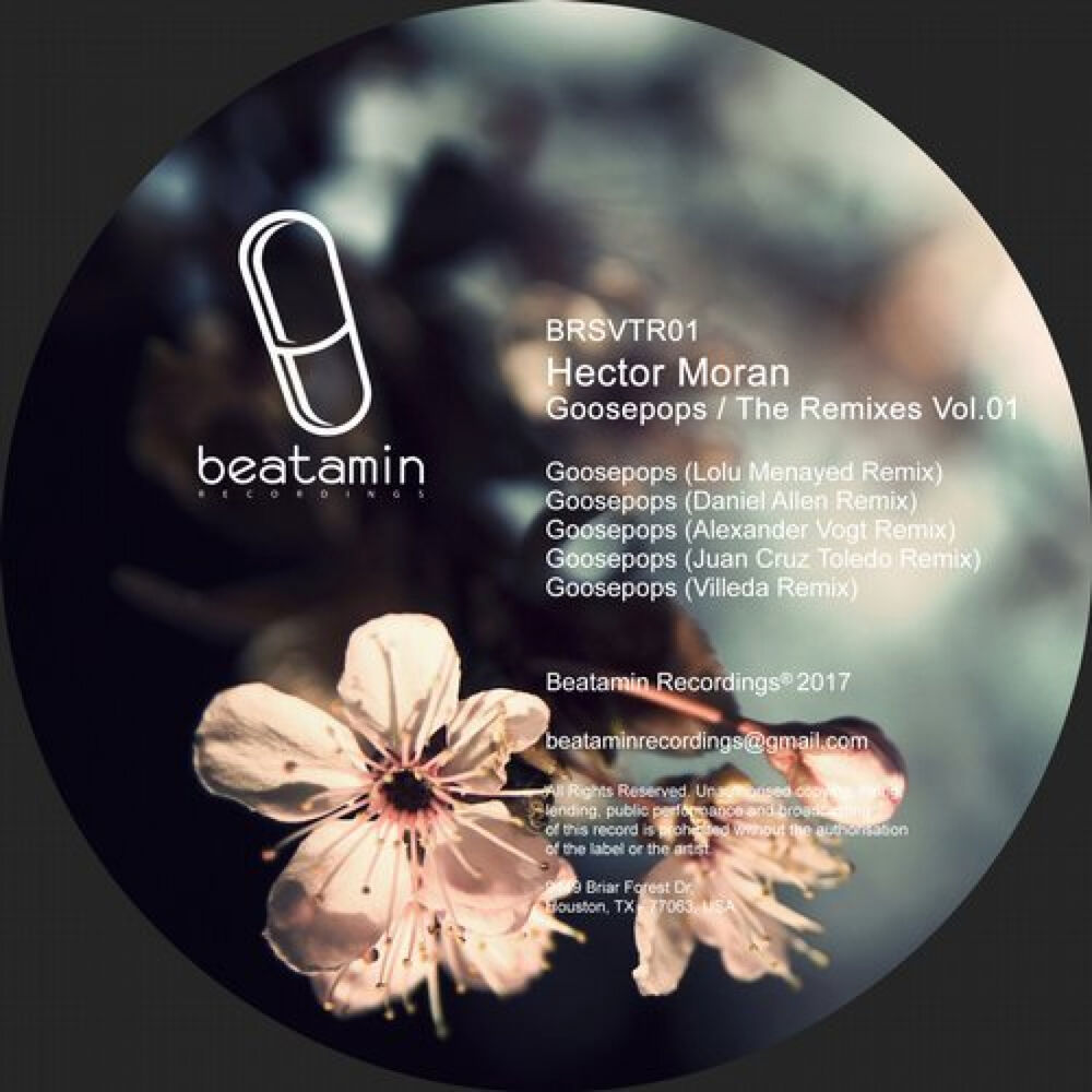 Picture of GOOSEPOPS the Remixes 01