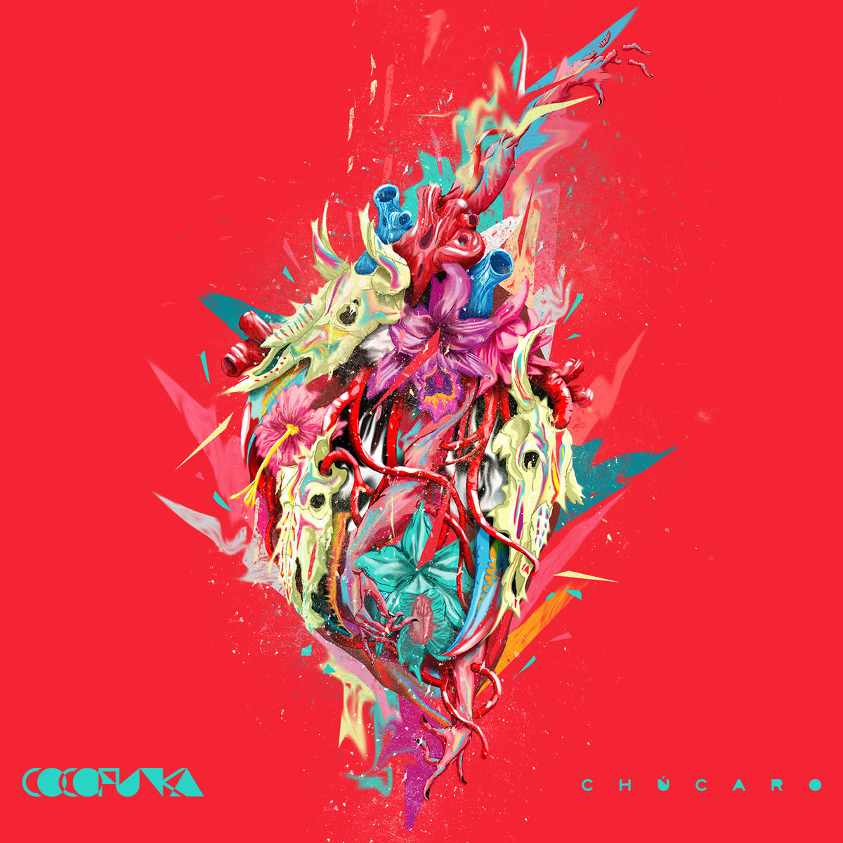 Album cover of Chúcaro