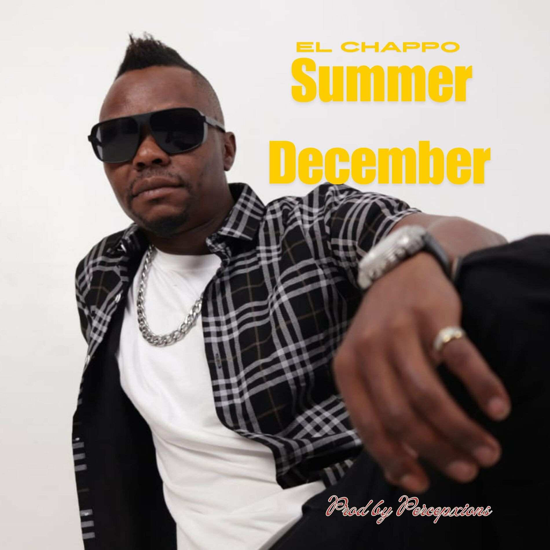Album cover of Summer December