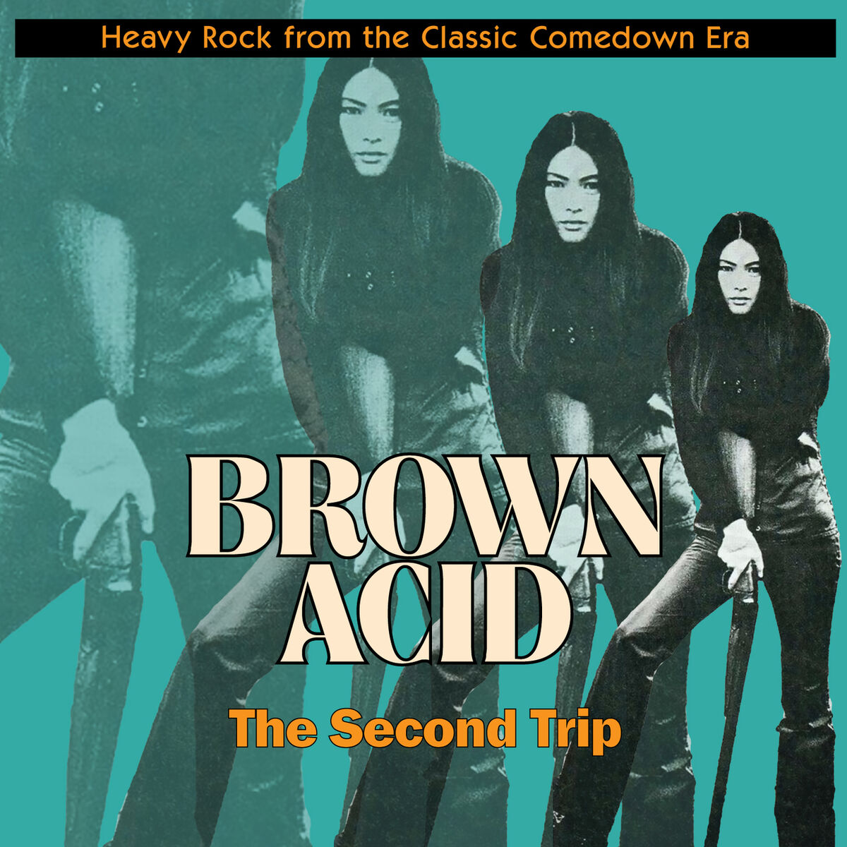 Album cover of Brown Acid 