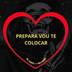 Cover of Prepara Vou Te Coloca (Slowed + Reverb)