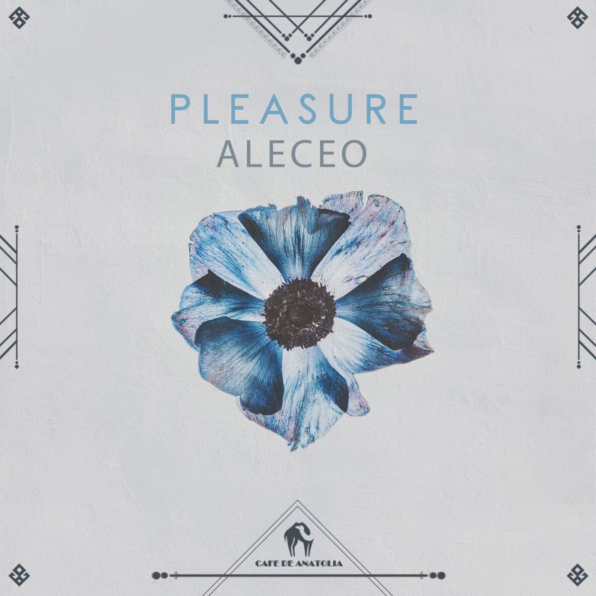 Album cover of Pleasure