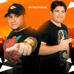 Cover of Não Troco por Nada