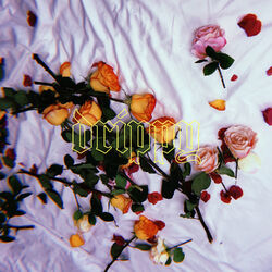 Cover of Drippy