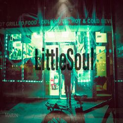 Cover of LittleSoul