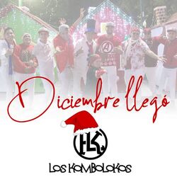 Cover of Diciembre Llegó