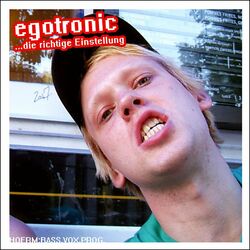 Cover of ...die richtige Einstellung