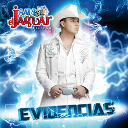 Cover of Evidencias