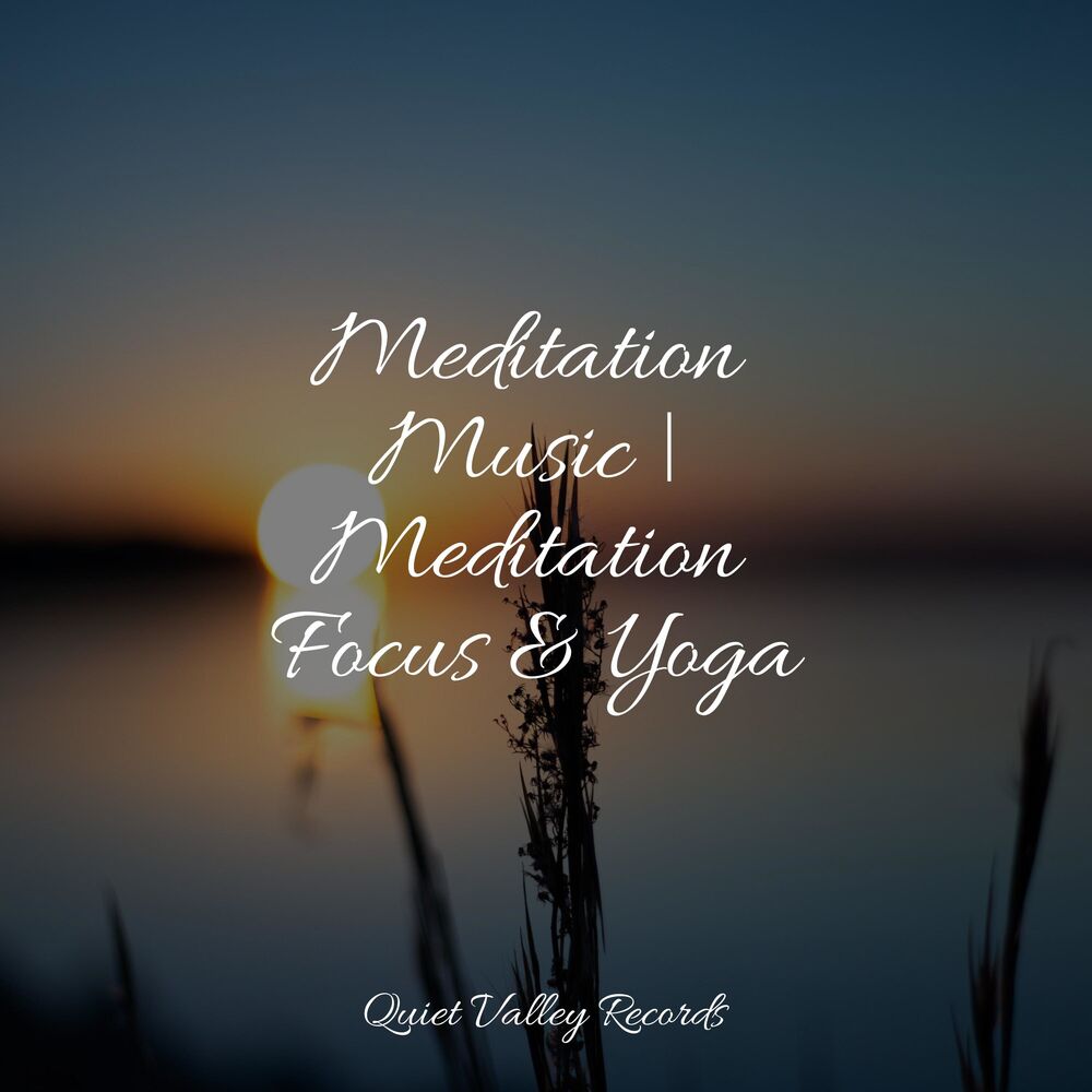Picture of Meditation Music | Meditation Focus & Yoga