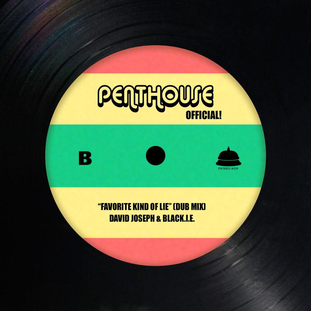 Picture of Favorite Kind of Lie (Dub Mix)