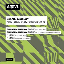 Cover of Quantum Entanglement