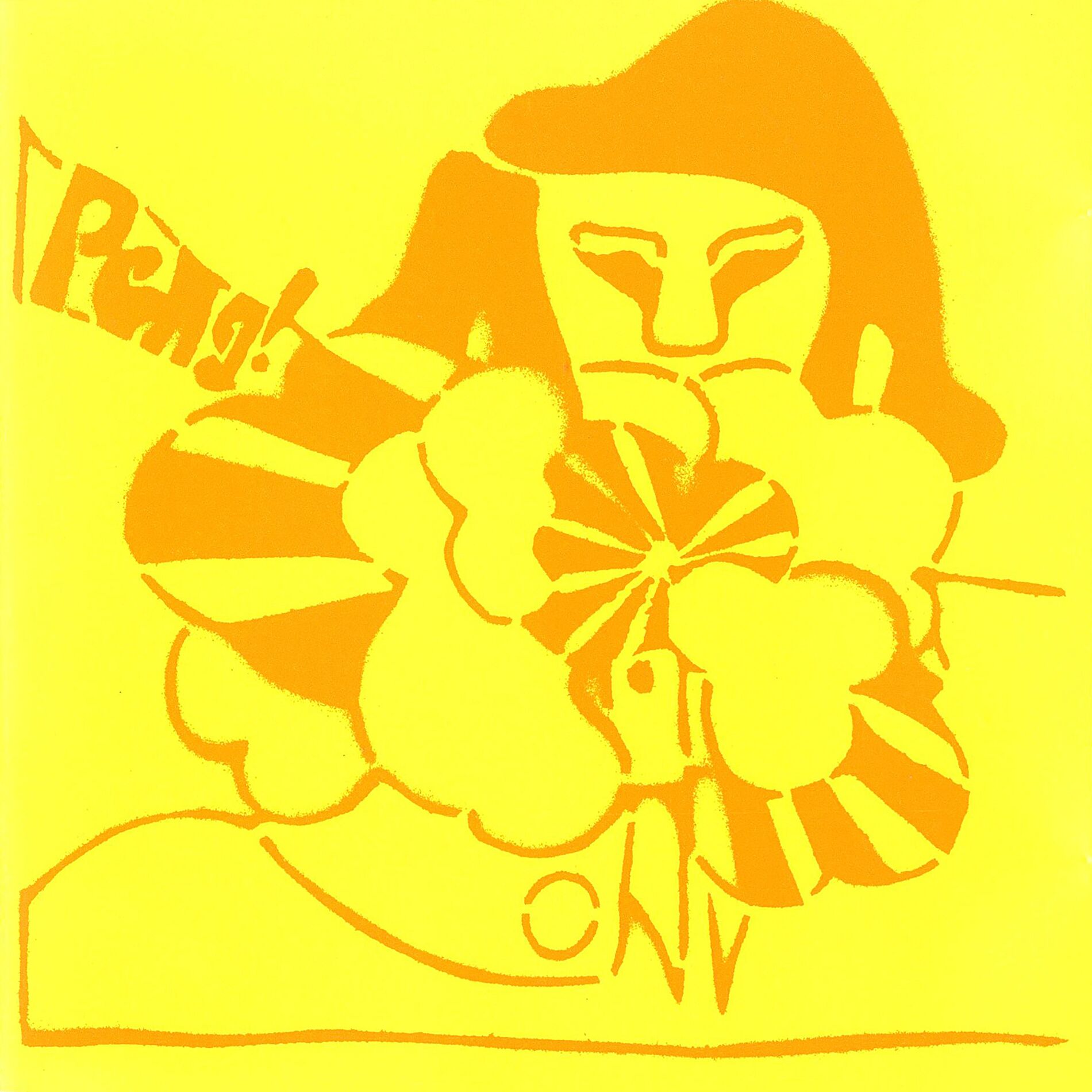 Album cover of Super Falling Star