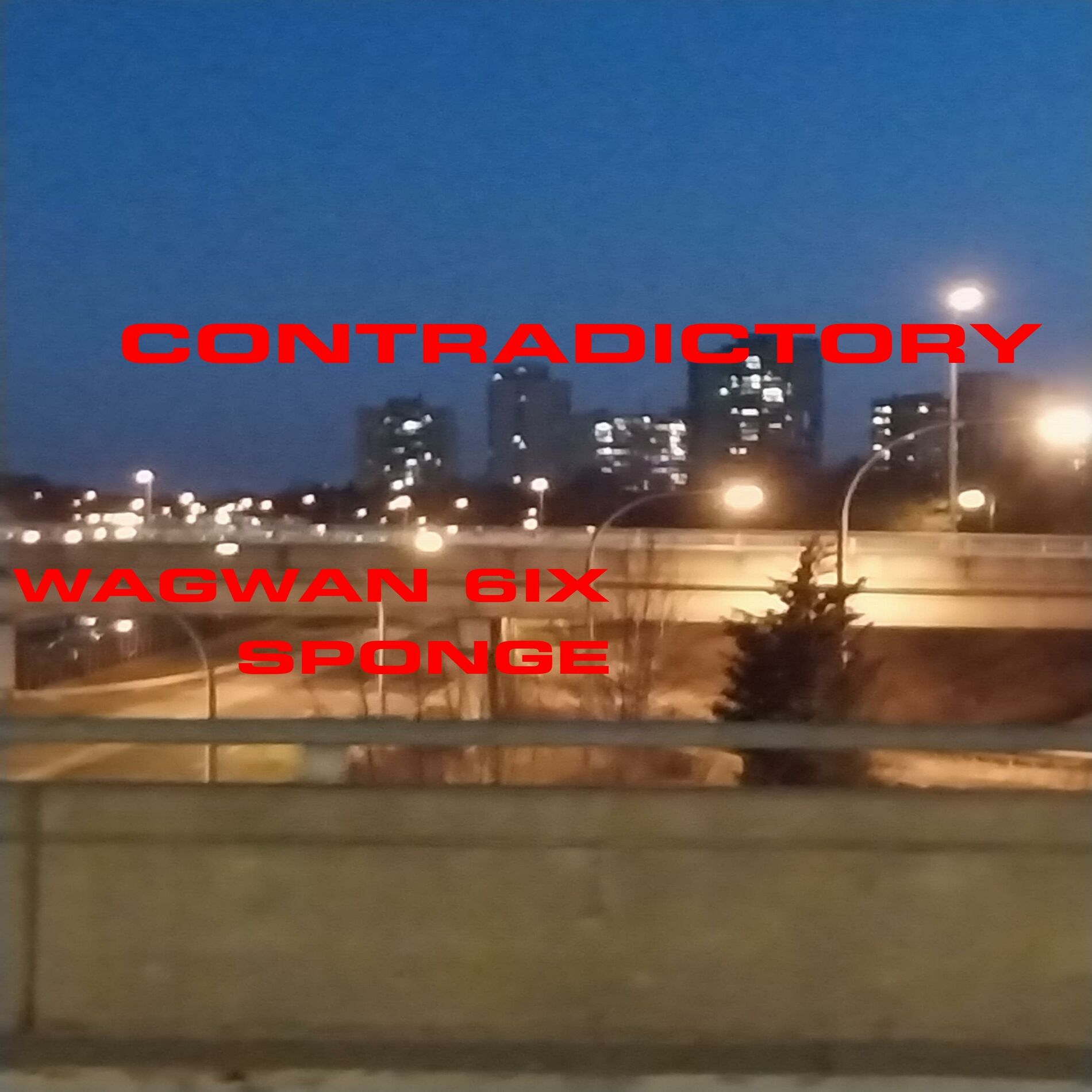 Album cover of Contradictory