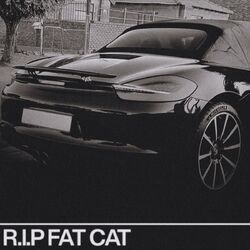 Cover of R.I.P. FAT CAT