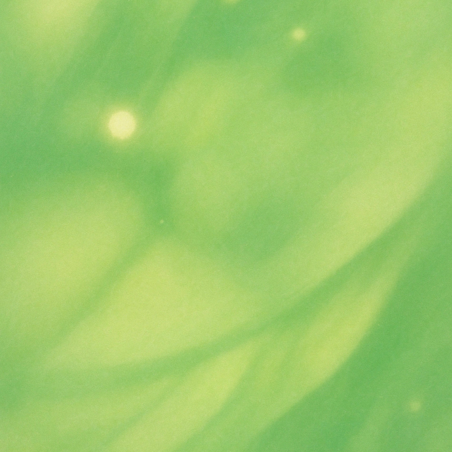 Album cover of Touch Me