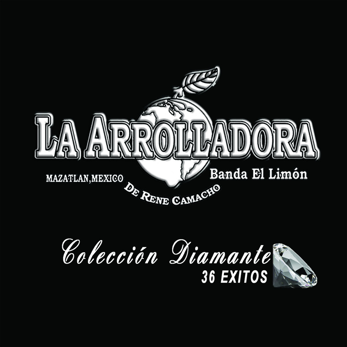 Album cover of Fallaste Corazon