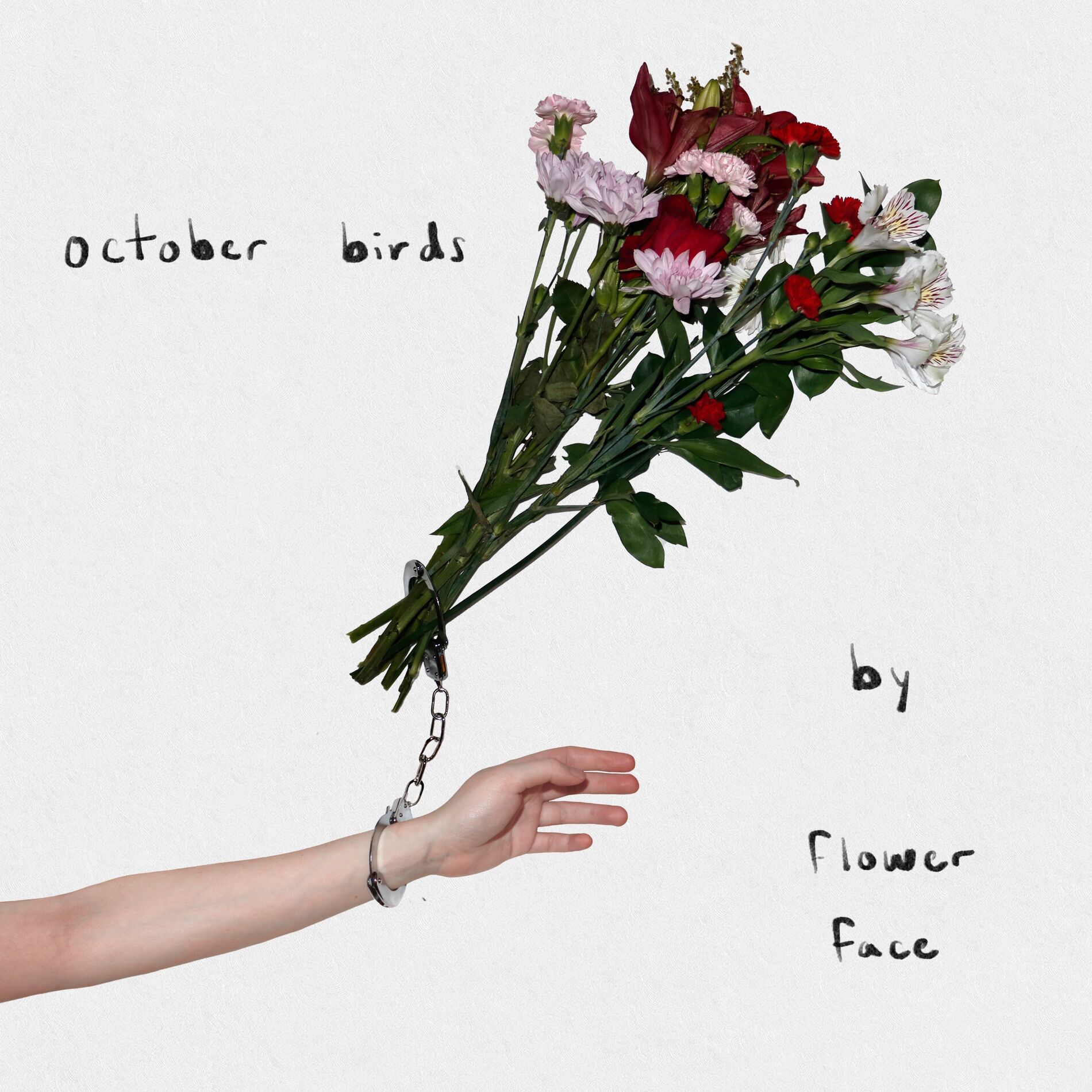 Album cover of October Birds