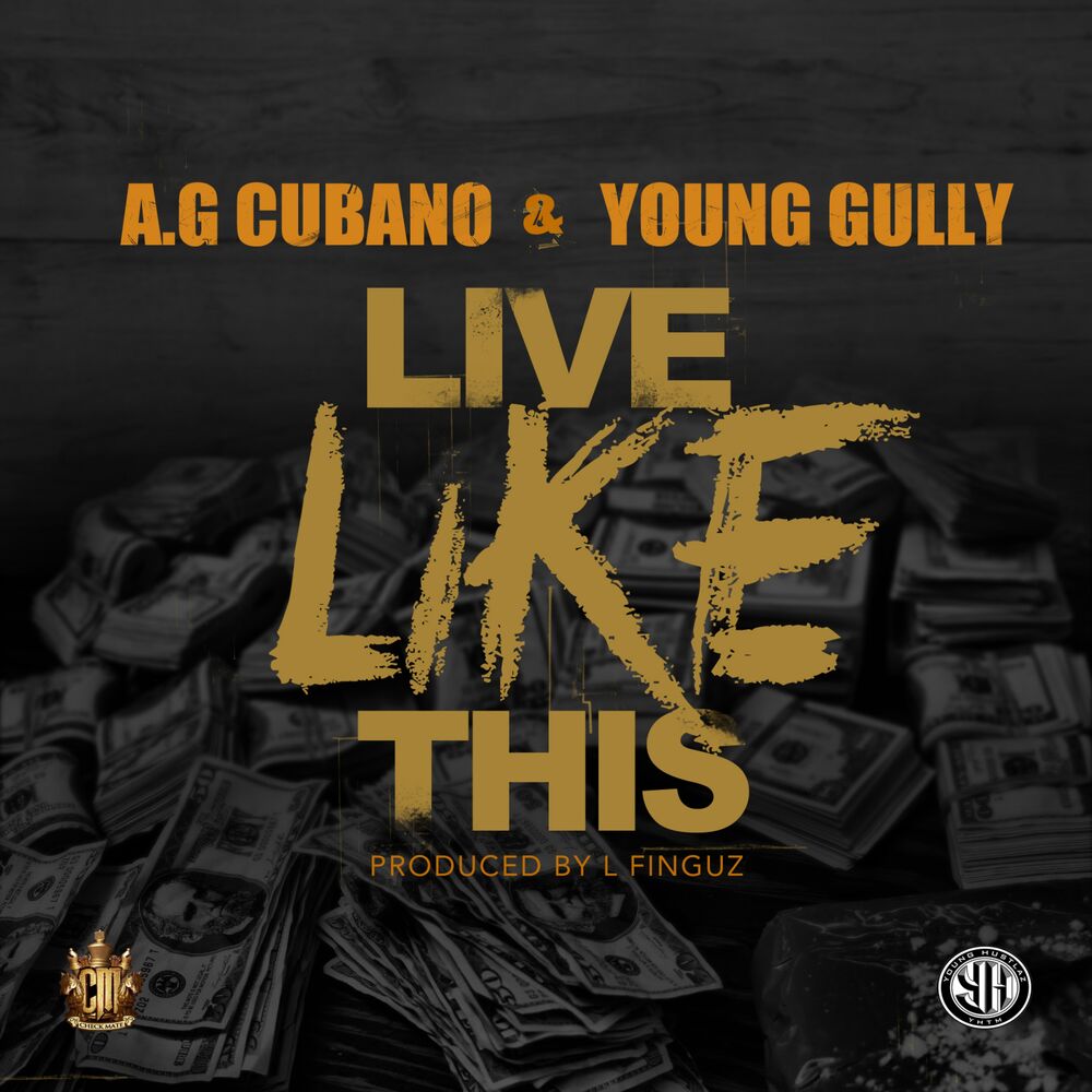 Picture of Live Like This