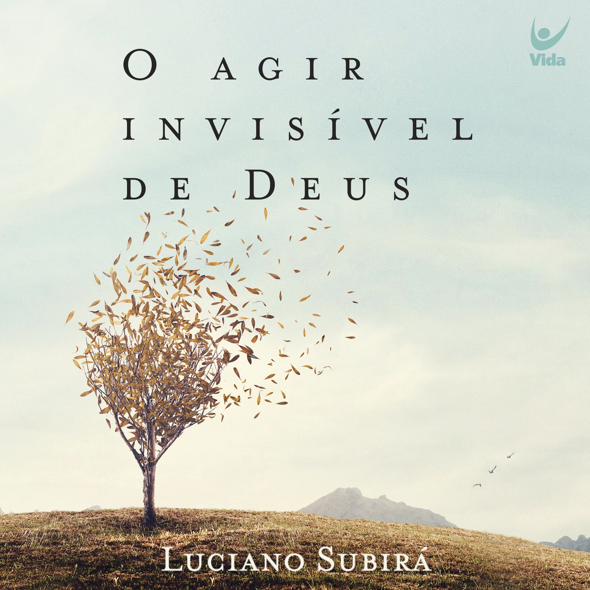 Album cover of O agir invisível de Deus