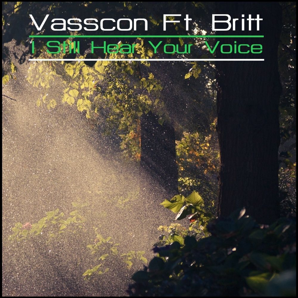 Picture of I Still Hear Your Voice