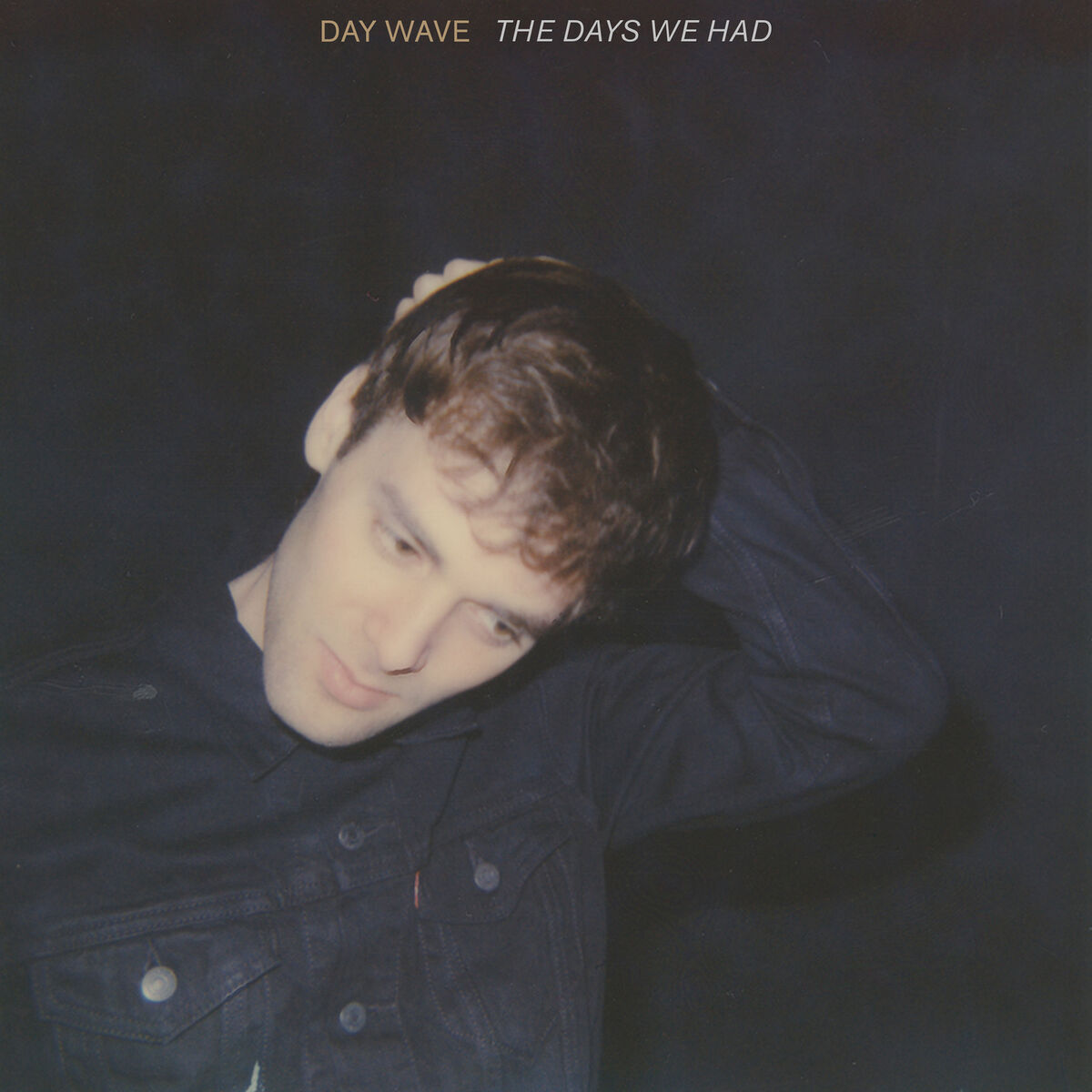 Album cover of The Days We Had