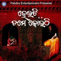 Cover of Heiti Tame Kouthi