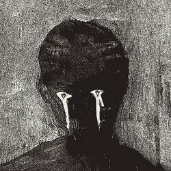 Cover of Color Decay