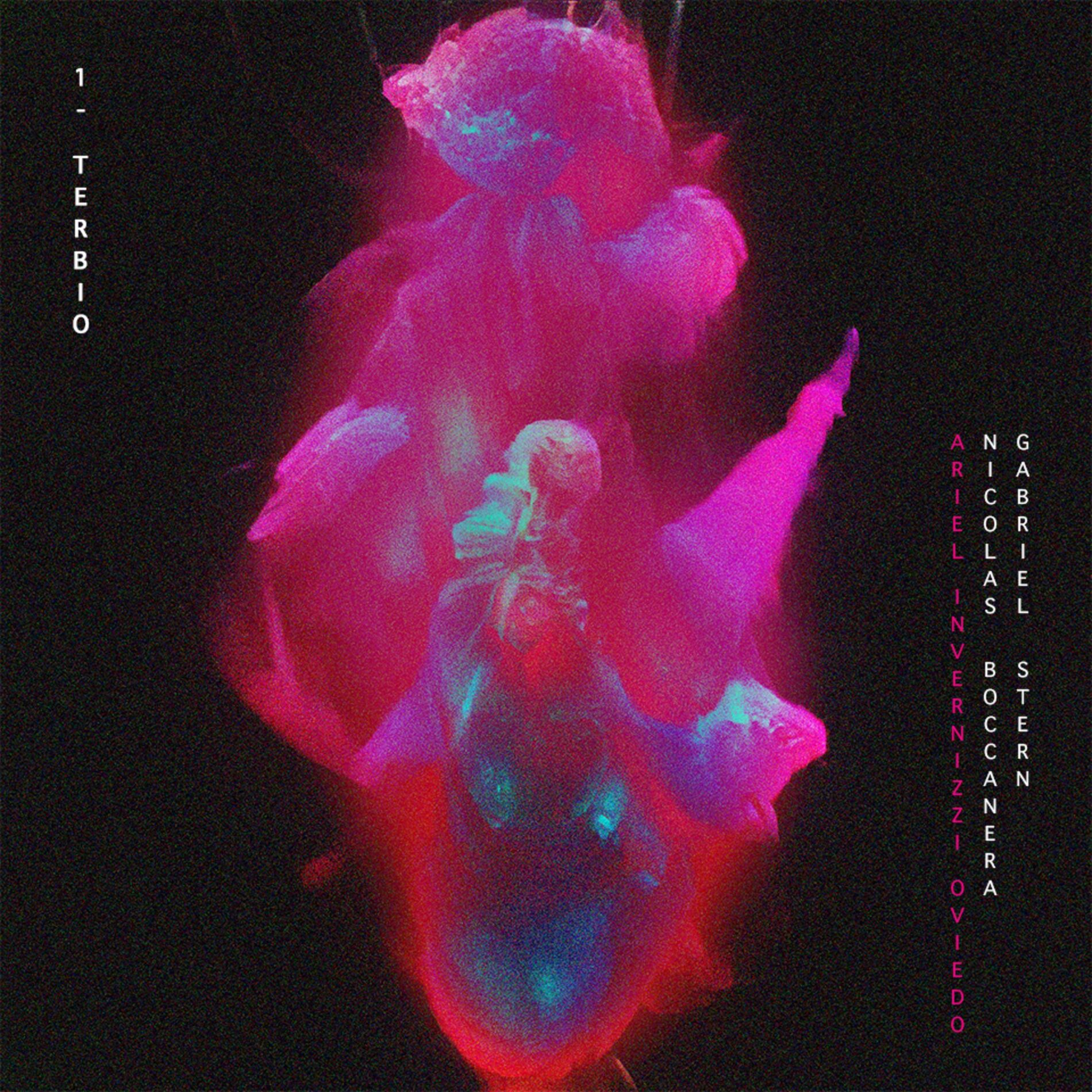Album cover of Terbio