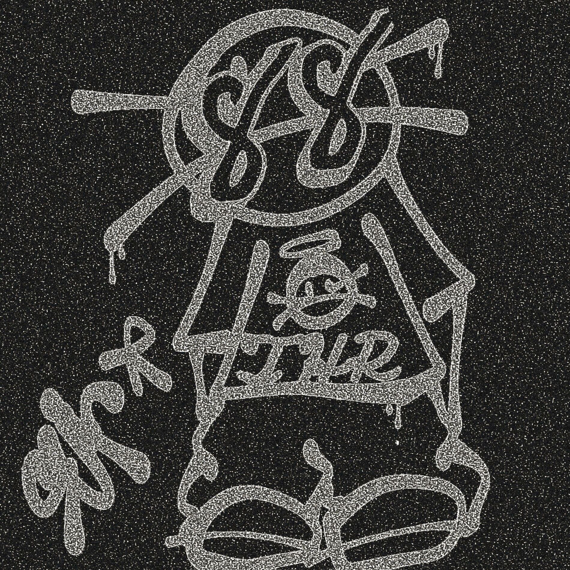 Album cover of 4 the fans <3