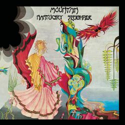 Cover of Nantucket Sleighride