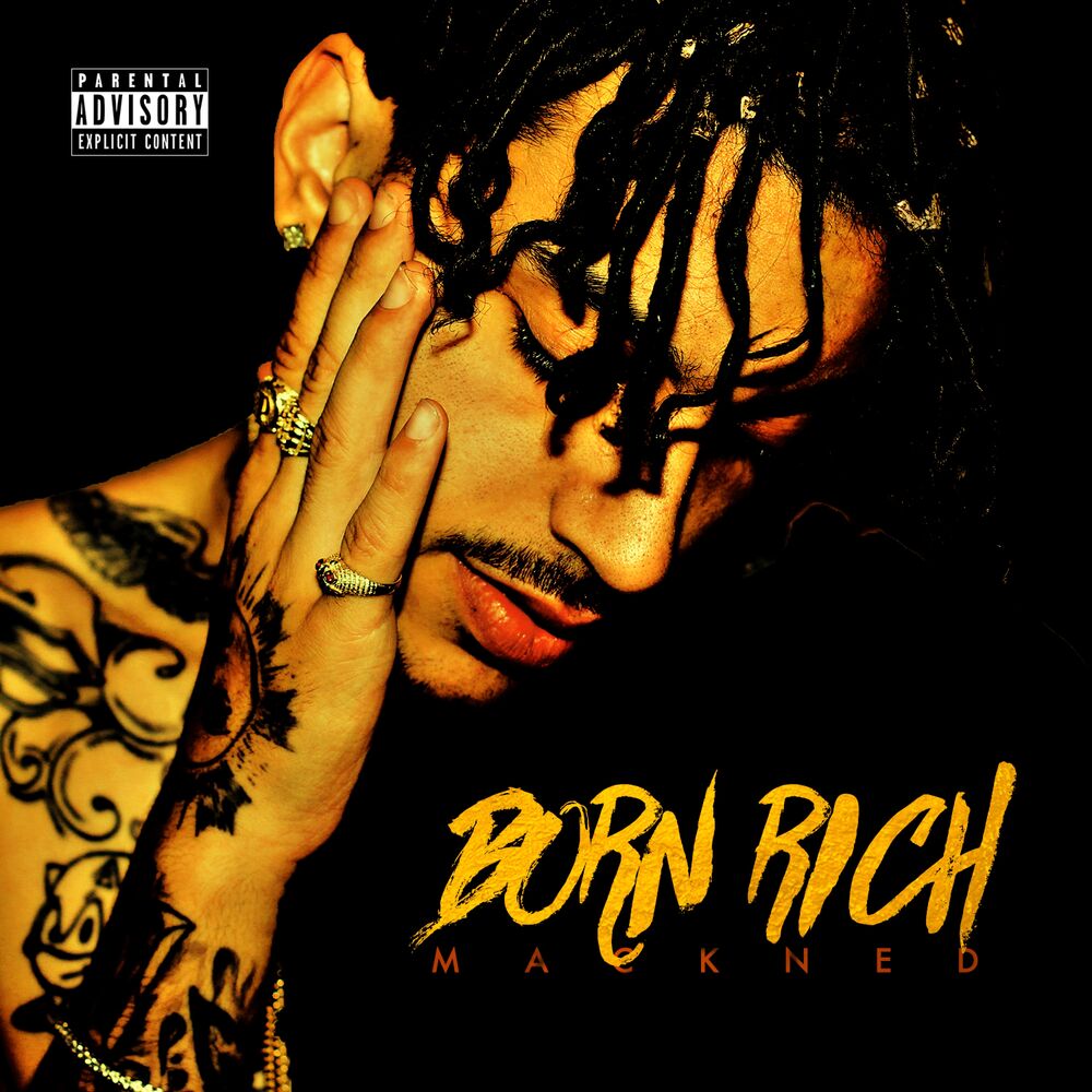 Picture of Born Rich