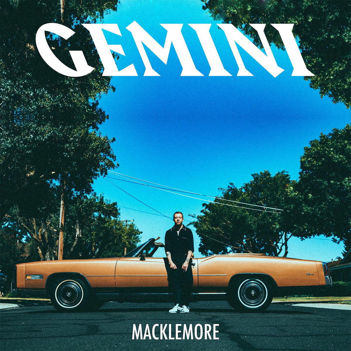 Album picture of GEMINI