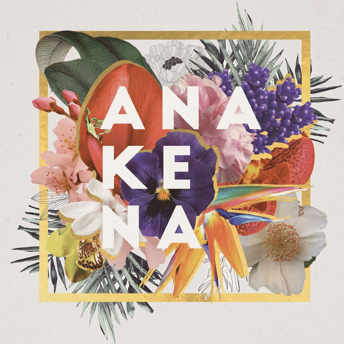 Album cover of Anakena (Deluxe)