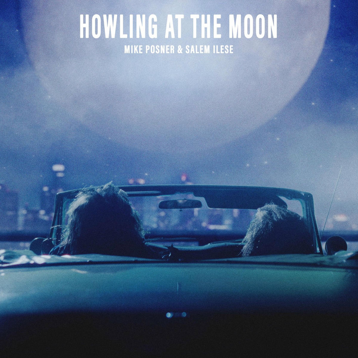 Album cover of Howling at the Moon