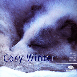 Cover of Cosy Winter