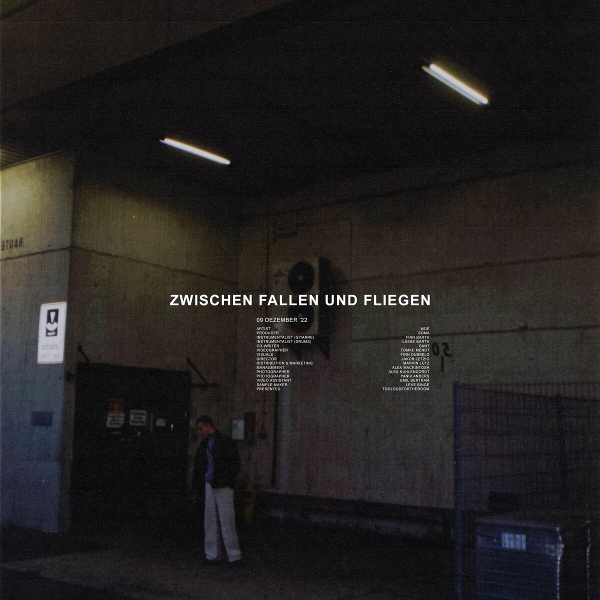 Album cover of Zwischen Fallen und Fliegen
