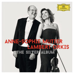 Cover of The Silver Album
