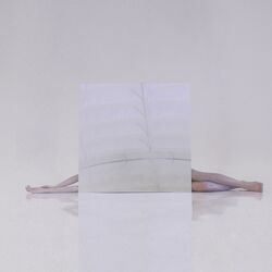 Cover of Gris