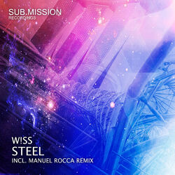 Cover of Steel