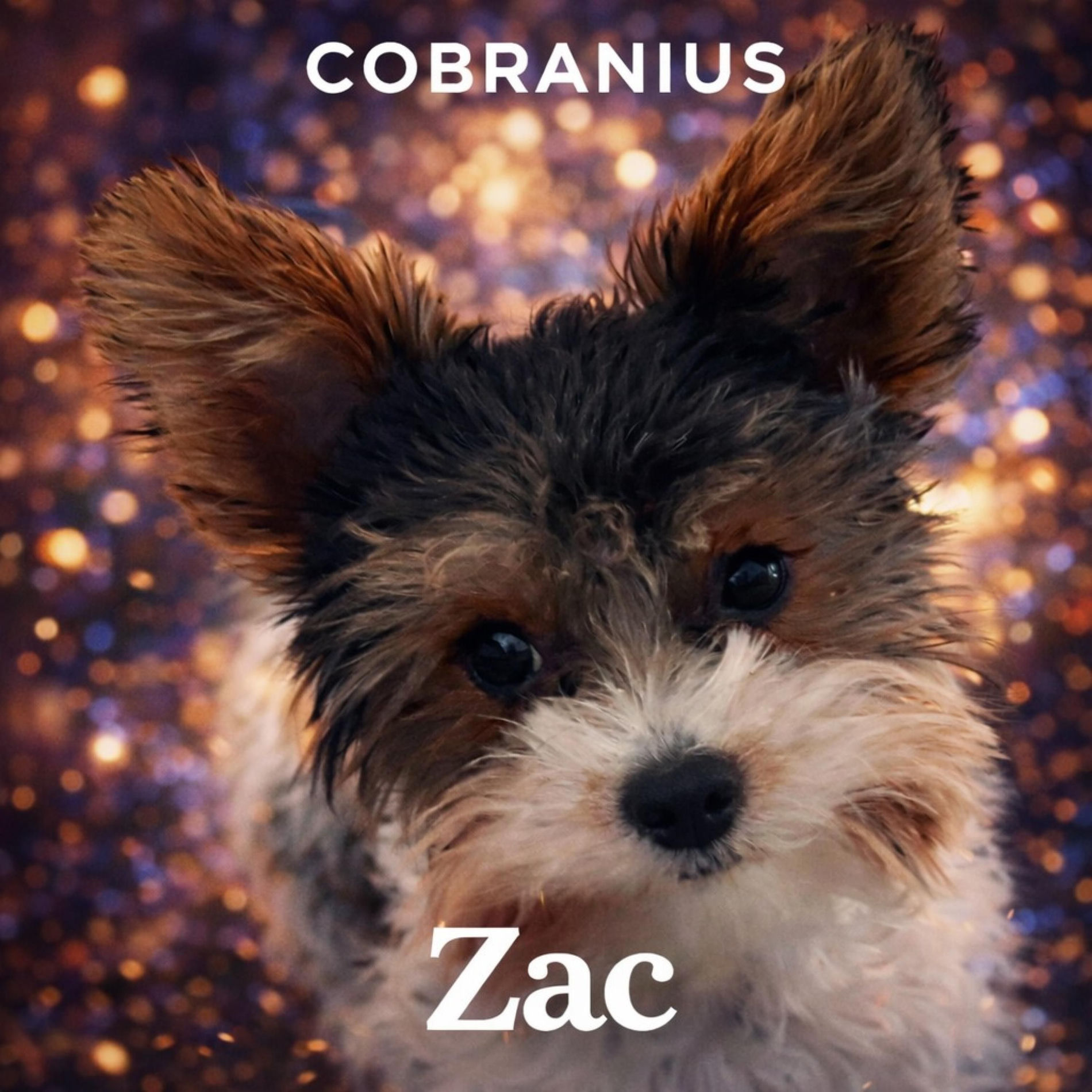 Album cover of Zac (feat. Mona)